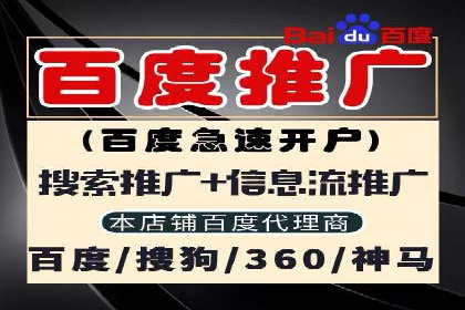 SEM服务案例：打造行业领先品牌